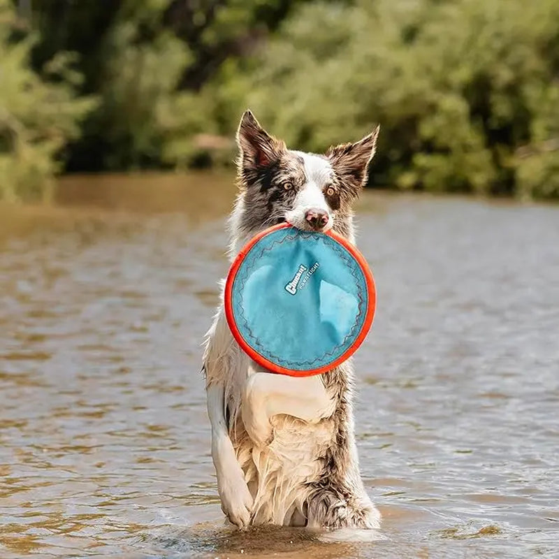 Chuckit! Paraflight Flying Disc Dog Toy - Water Floating Flyer - Durable Nylon Construction with Soft Rubber Edges - for Medium and Large Dogs - Size Large - 9.75" L X 9.75" W - Pack of 1