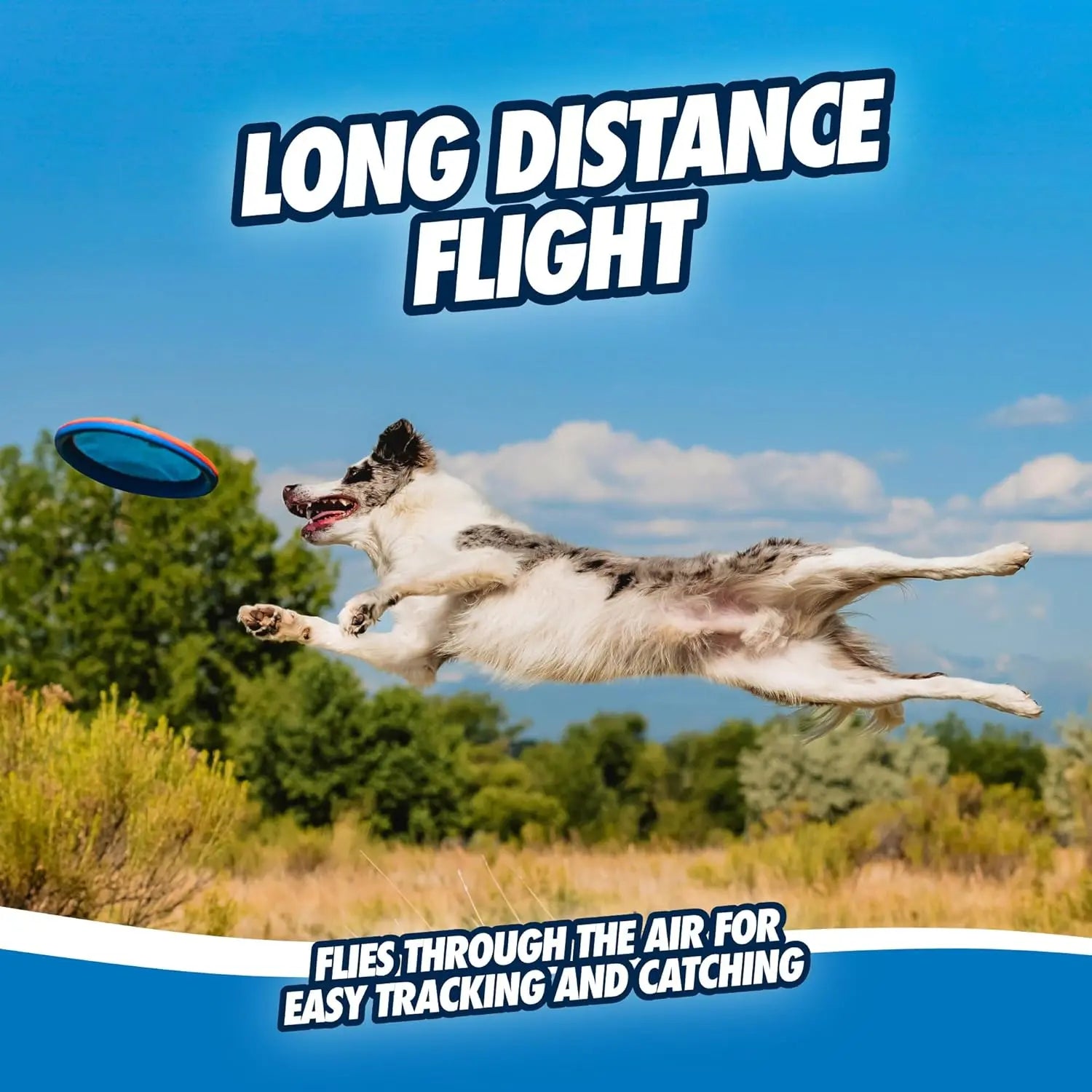 Chuckit! Paraflight Flying Disc Dog Toy - Water Floating Flyer - Durable Nylon Construction with Soft Rubber Edges - for Medium and Large Dogs - Size Large - 9.75" L X 9.75" W - Pack of 1
